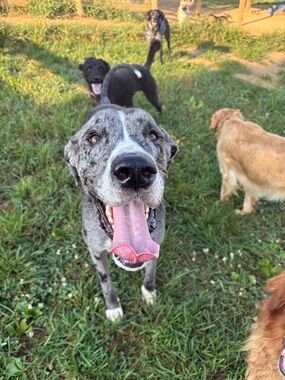 Unlisted for Creatively